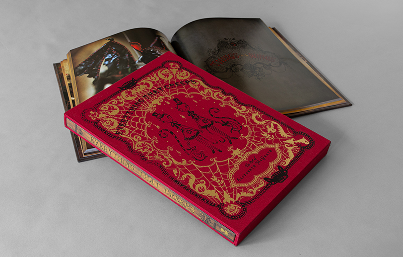 Liz McGrath Slipcase with hand drawn title spread